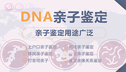 内蒙古在哪里有正规DNA鉴定机构，内蒙古正规亲子鉴定收费标准是多少