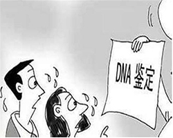 内蒙古医院如何办理亲子鉴定，内蒙古权威血缘检测医院